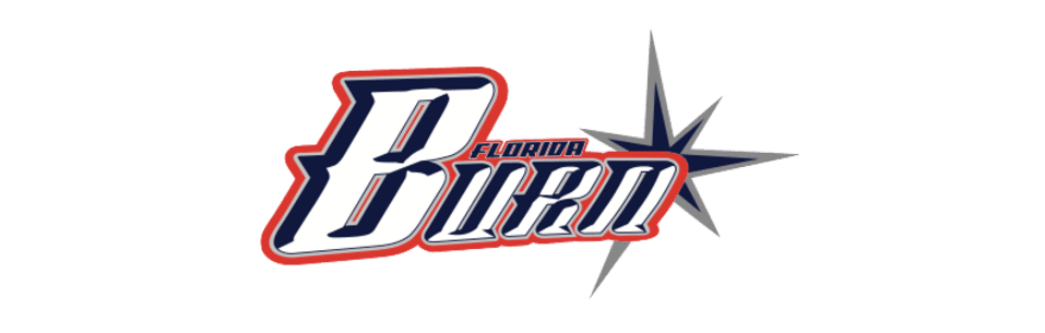 Travel Baseball Logo